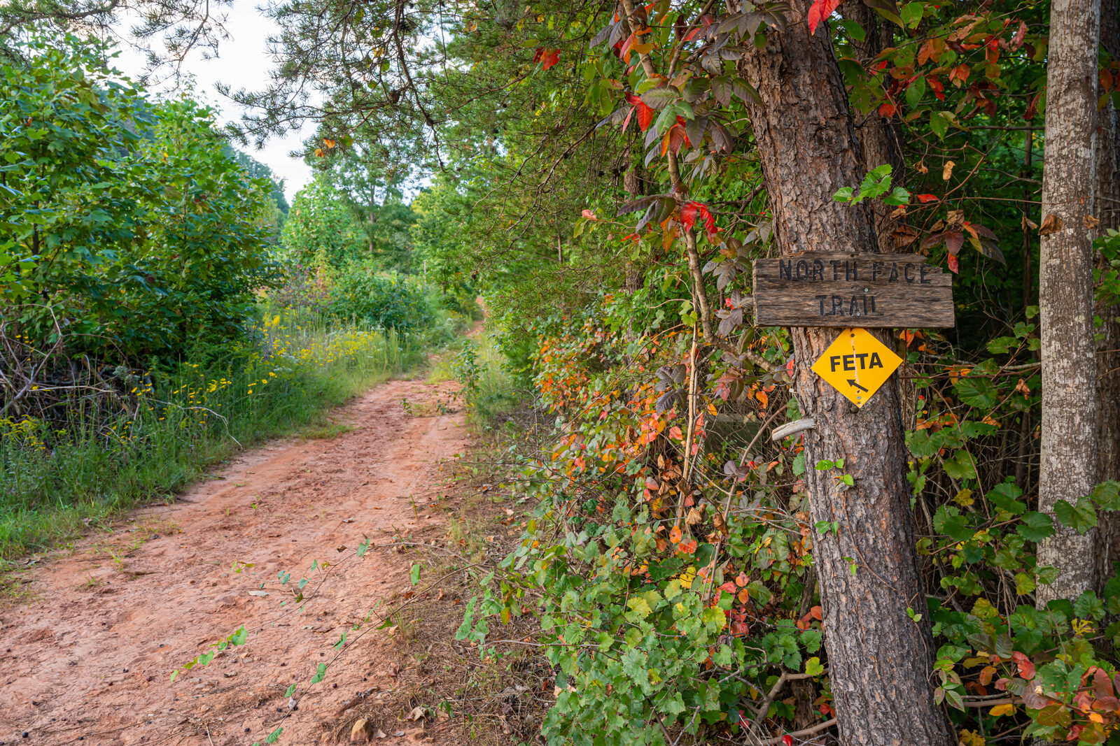 Property trails